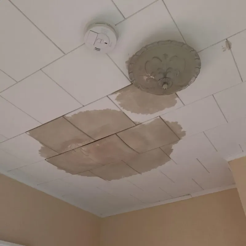 Ceiling Water Damage Repair in Northumberland, NH