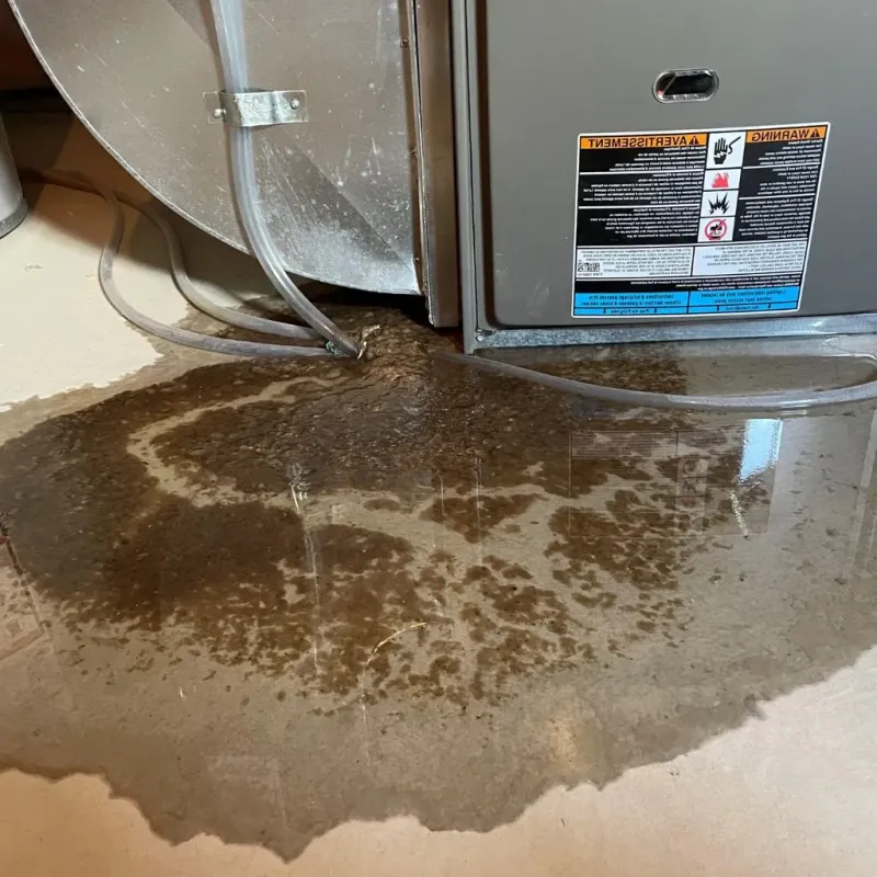 Pipe Burst and Leak Restoration in Northumberland, NH